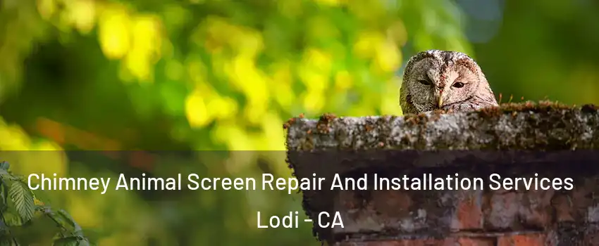  Chimney Animal Screen Repair And Installation Services Lodi - CA