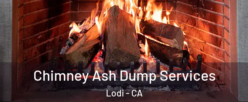  Chimney Ash Dump Services Lodi - CA