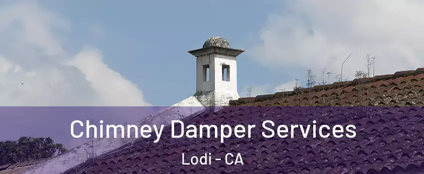  Chimney Damper Services Lodi - CA