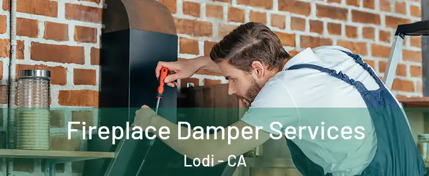  Fireplace Damper Services Lodi - CA