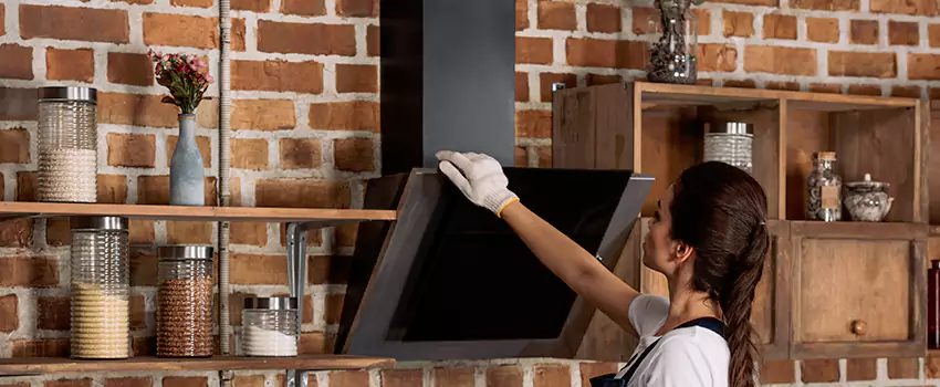 Chimney Installation in Lodi, CA