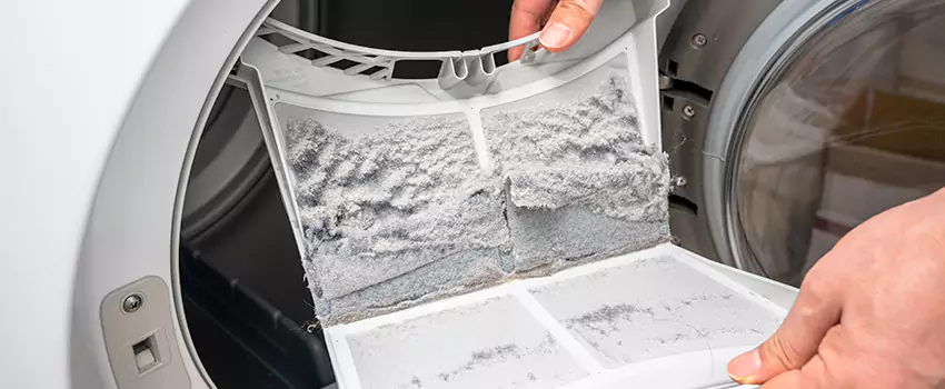 Best Dryer Lint Removal Company in Lodi, California